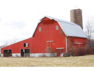 Property photo 19 - MAJOR LAND AUCTION - 541+/- Acres offered in 5 Tracts